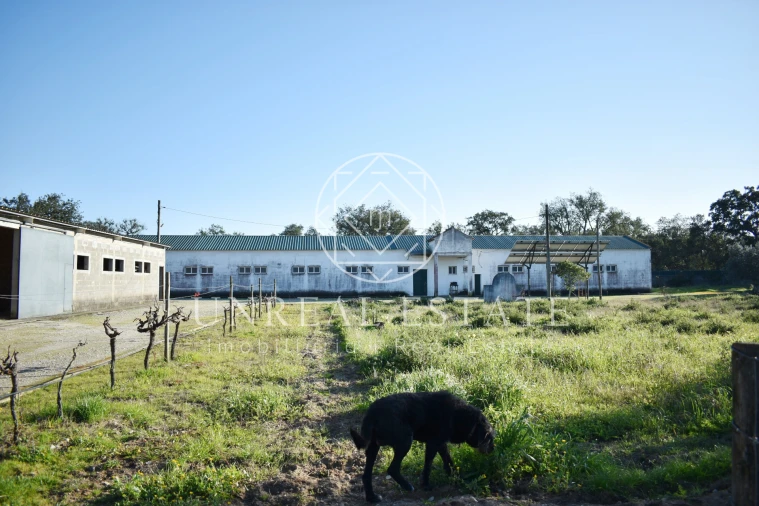 Quinta T1 para Venda em Azeitão (São Lourenço e São Simão) Foto 5