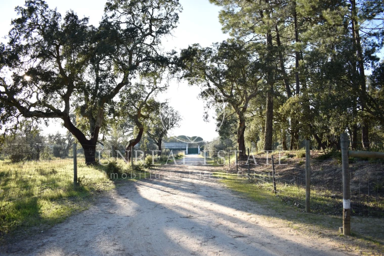 Quinta T1 para Venda em Azeitão (São Lourenço e São Simão) Foto 8