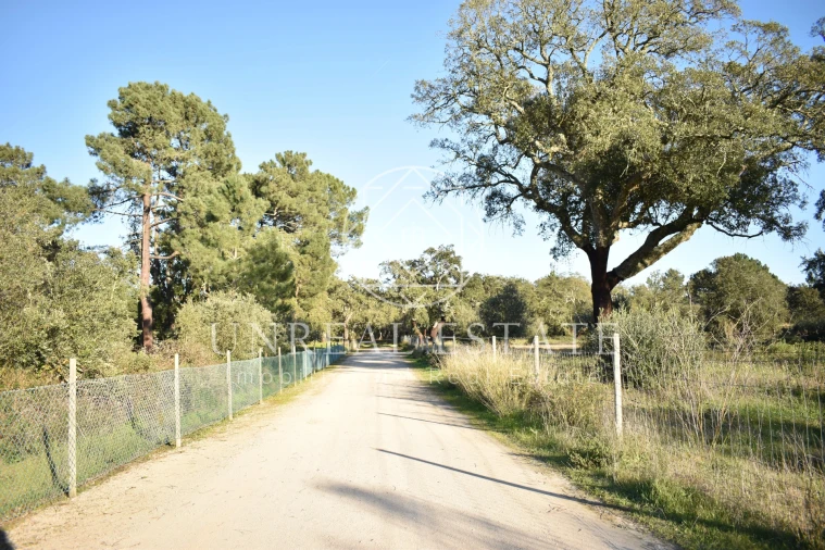Quinta T1 para Venda em Azeitão (São Lourenço e São Simão) Foto 9