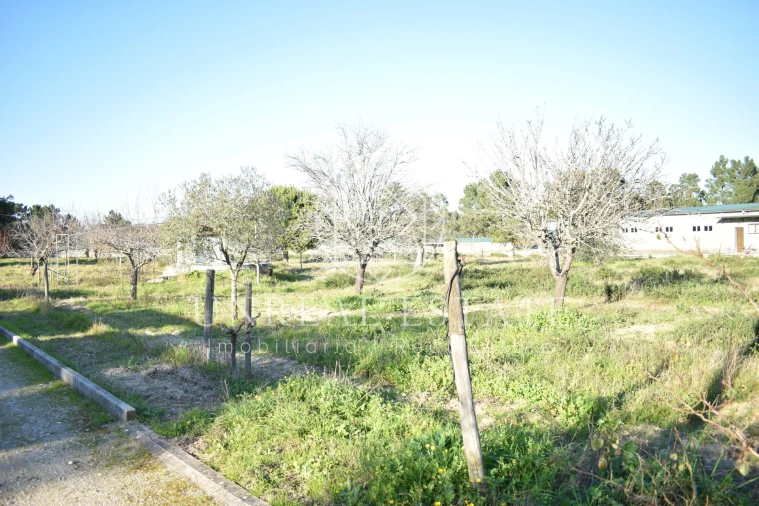 Quinta T1 para Venda em Azeitão (São Lourenço e São Simão) Foto 33