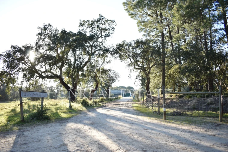 Quinta T1 para Venda em Azeitão (São Lourenço e São Simão) Foto 7