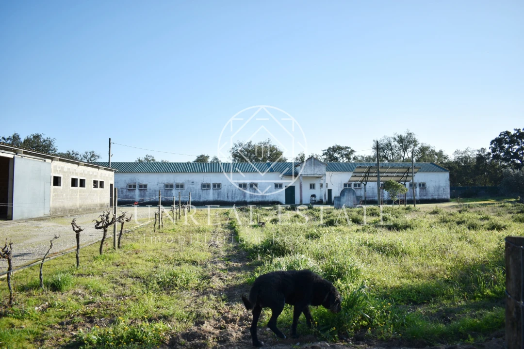 Quinta T1 para Venda em Azeitão (São Lourenço e São Simão) Foto 5