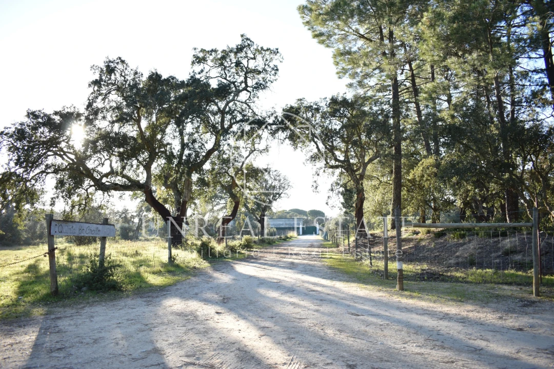 Quinta T1 para Venda em Azeitão (São Lourenço e São Simão) Foto 7