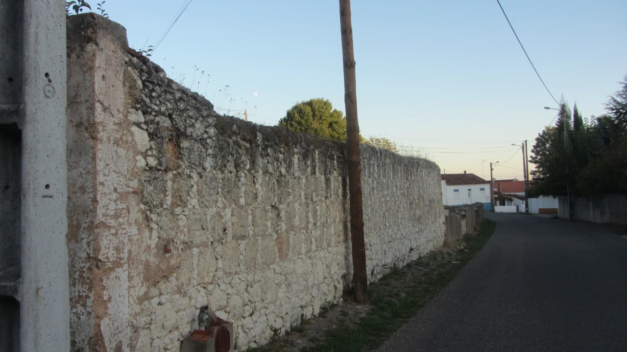 Terreno para Venda em Brogueira, Parceiros de Igreja e Alcorochel Foto 19