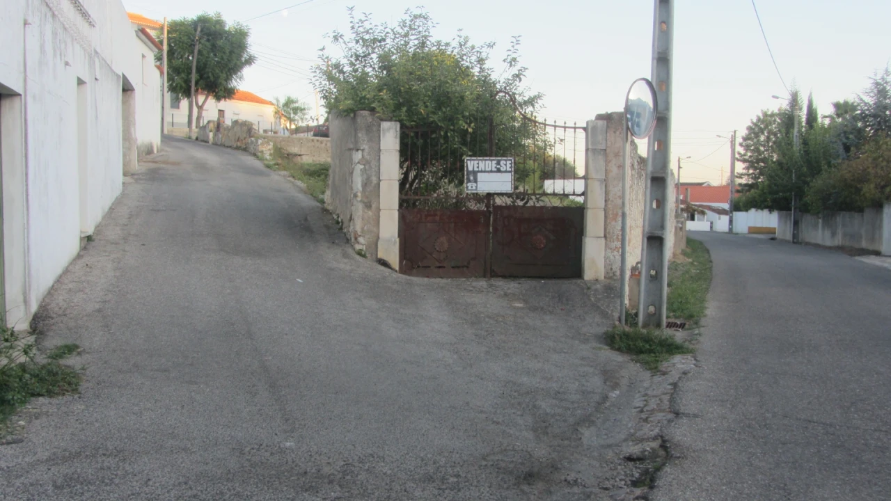 Terreno para Venda em Brogueira, Parceiros de Igreja e Alcorochel Foto 16