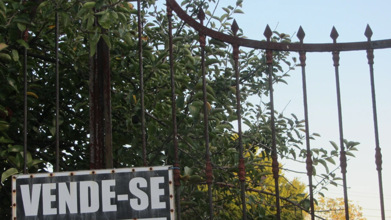 Terreno para Venda em Brogueira, Parceiros de Igreja e Alcorochel Foto 20