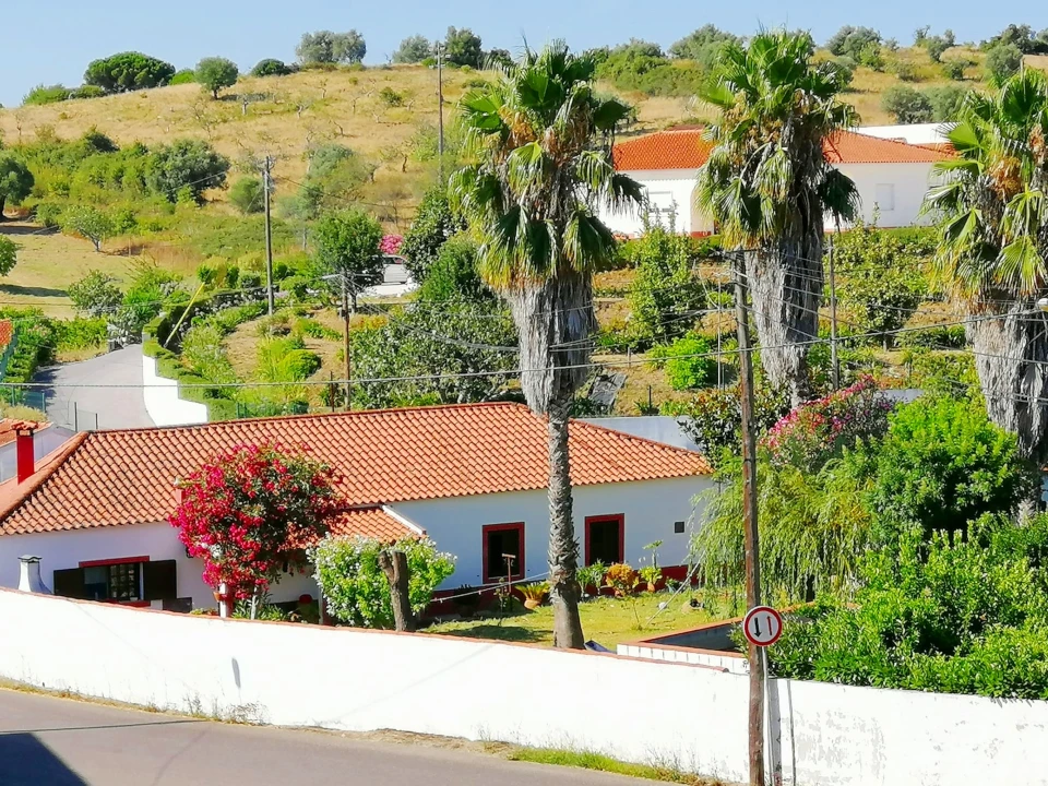 Terreno para Venda em Brogueira, Parceiros de Igreja e Alcorochel Foto 12