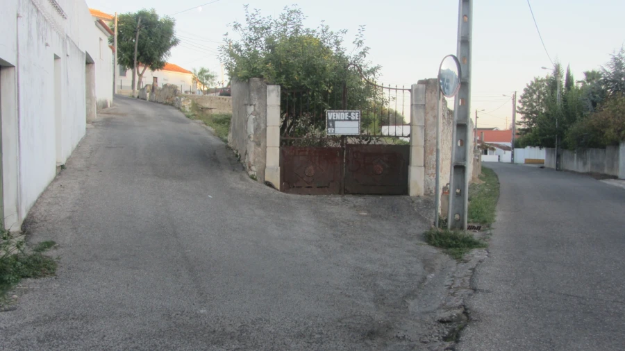 Terreno para Venda em Brogueira, Parceiros de Igreja e Alcorochel Foto 16
