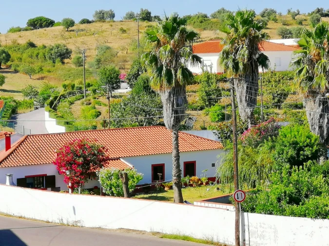 Terreno para Venda em Brogueira, Parceiros de Igreja e Alcorochel Foto 12
