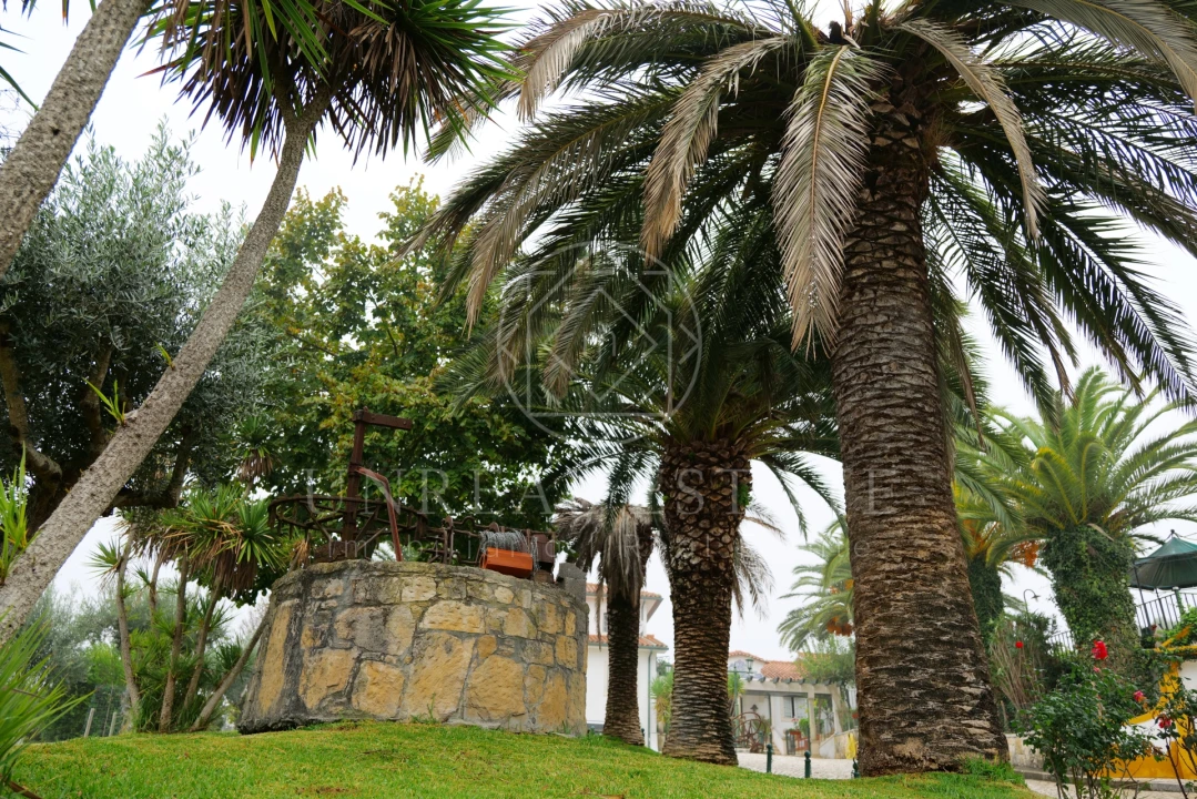 Quinta T8 para Venda em Torres Novas (São Pedro), Lapas e Ribeira Branca Foto 79