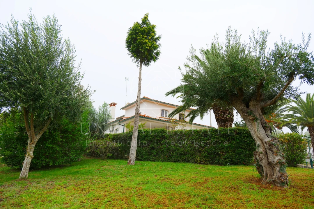 Quinta T8 para Venda em Torres Novas (São Pedro), Lapas e Ribeira Branca Foto 80