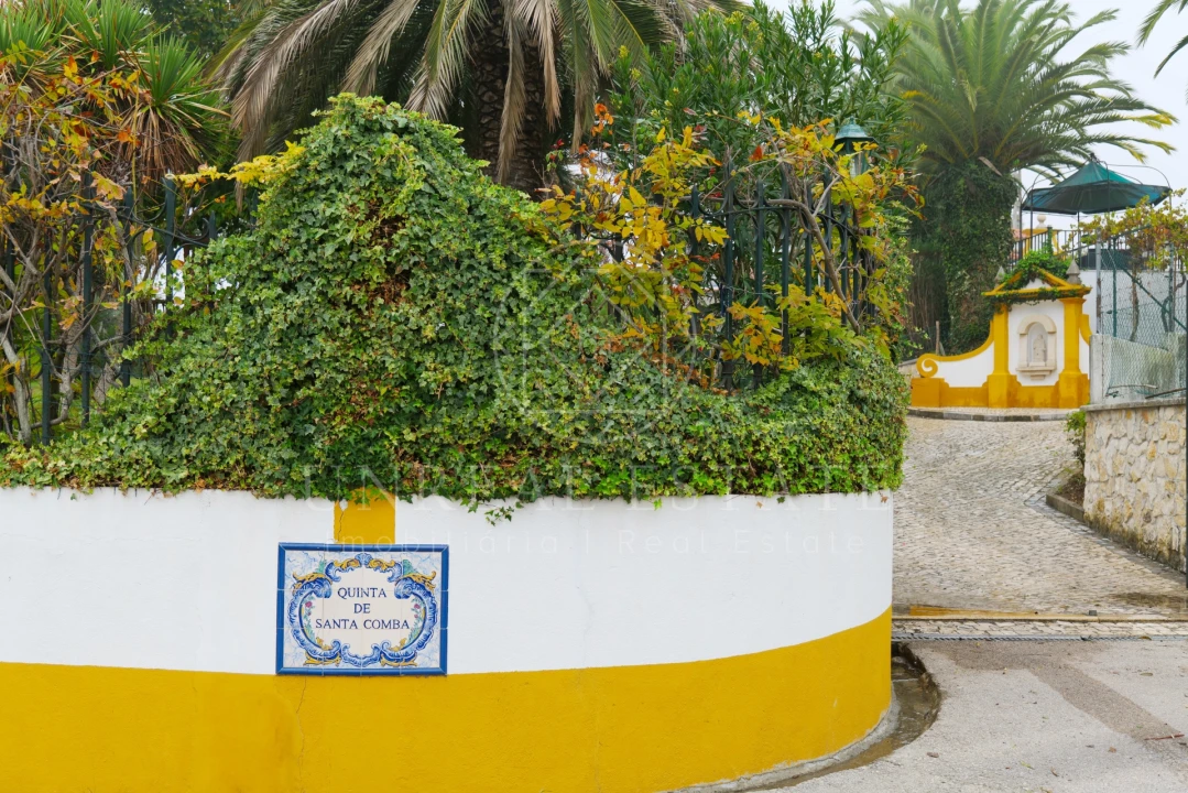 Quinta T8 para Venda em Torres Novas (São Pedro), Lapas e Ribeira Branca Foto 3