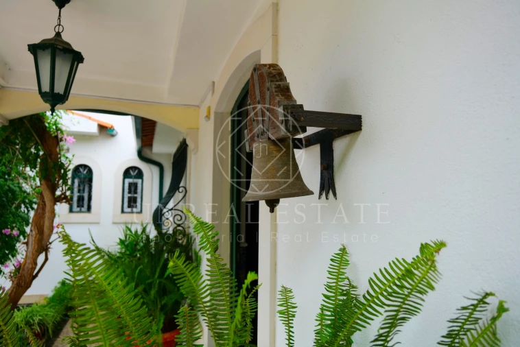 Quinta T8 para Venda em Torres Novas (São Pedro), Lapas e Ribeira Branca Foto 66