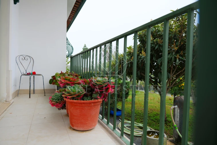 Quinta T8 para Venda em Torres Novas (São Pedro), Lapas e Ribeira Branca Foto 40