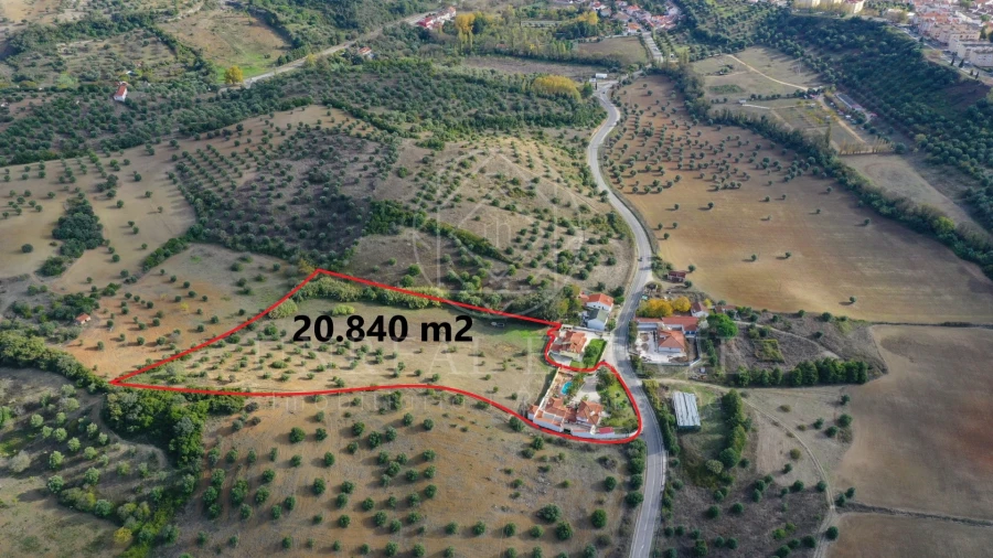 Quinta T8 para Venda em Torres Novas (São Pedro), Lapas e Ribeira Branca Foto 1