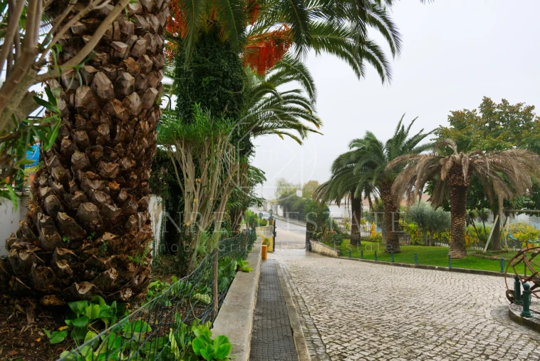 Quinta T8 para Venda em Torres Novas (São Pedro), Lapas e Ribeira Branca Foto 6