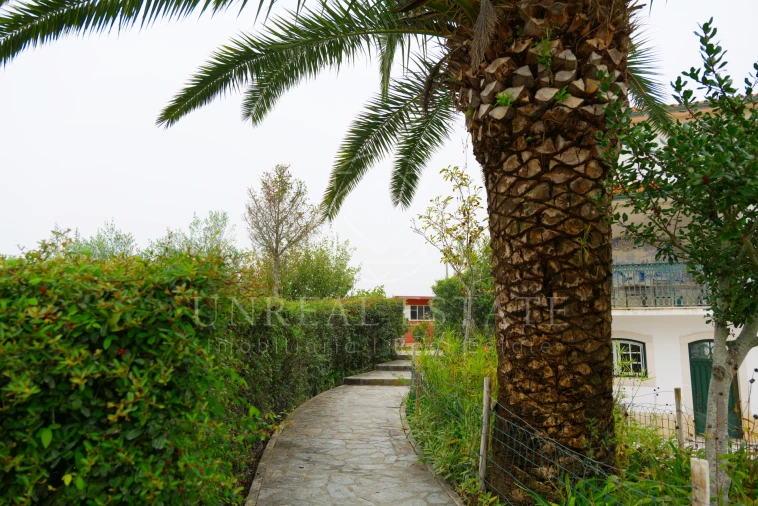 Quinta T8 para Venda em Torres Novas (São Pedro), Lapas e Ribeira Branca Foto 81