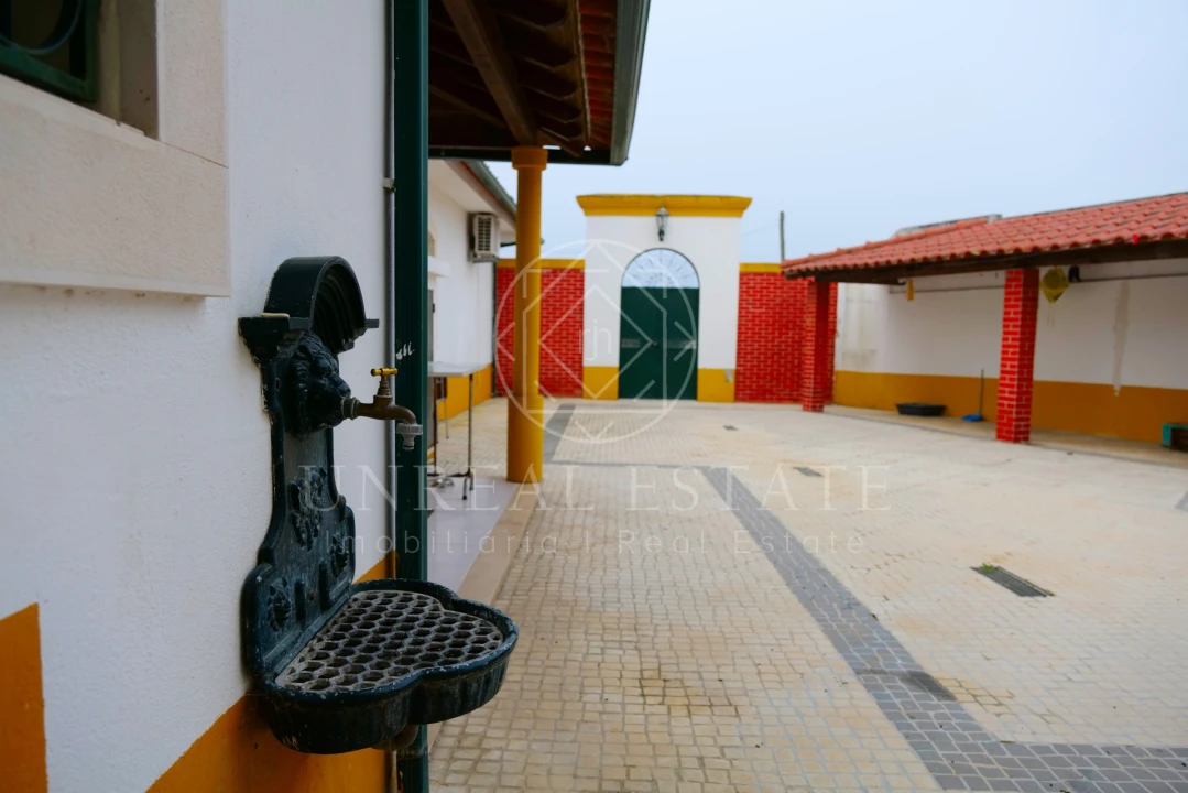 Quinta T8 para Venda em Torres Novas (São Pedro), Lapas e Ribeira Branca Foto 63