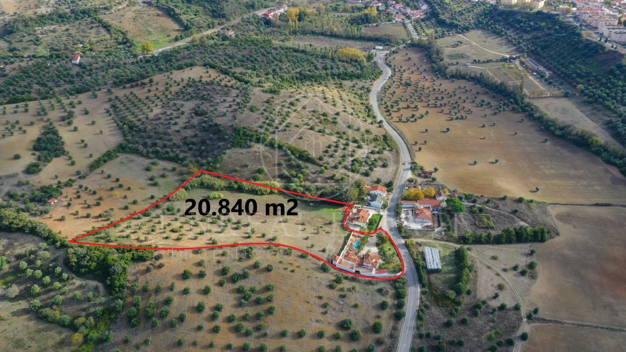 Quinta T8 para Venda em Torres Novas (São Pedro), Lapas e Ribeira Branca Foto 1