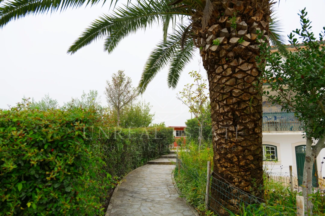 Quinta T8 para Venda em Torres Novas (São Pedro), Lapas e Ribeira Branca Foto 81