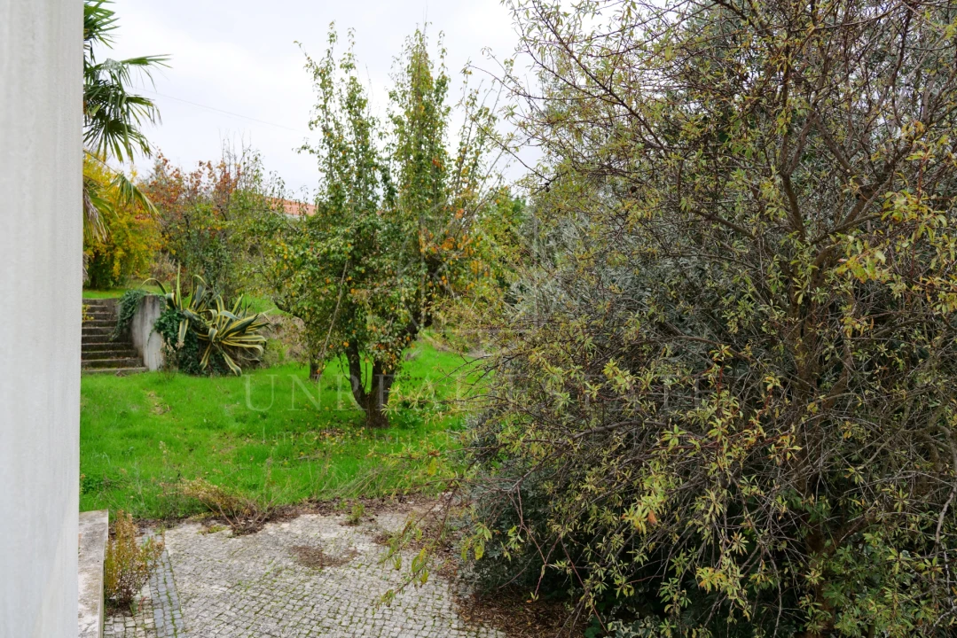 Moradia T2 para Venda em Brogueira, Parceiros de Igreja e Alcorochel Foto 25