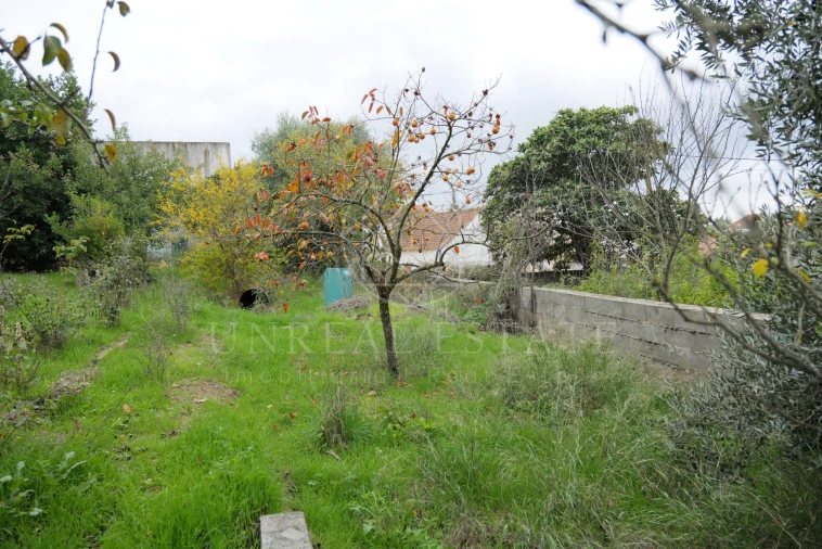 Moradia T2 para Venda em Brogueira, Parceiros de Igreja e Alcorochel Foto 45