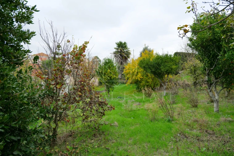 Moradia T2 para Venda em Brogueira, Parceiros de Igreja e Alcorochel Foto 38