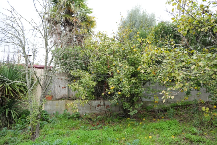 Moradia T2 para Venda em Brogueira, Parceiros de Igreja e Alcorochel Foto 42