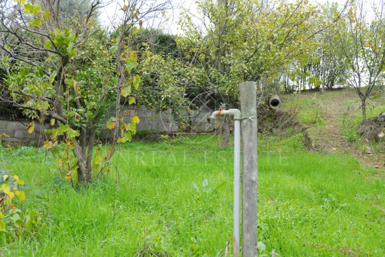 Moradia T2 para Venda em Brogueira, Parceiros de Igreja e Alcorochel Foto 44