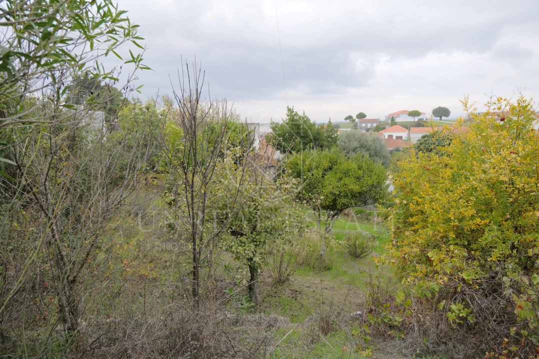 Moradia T2 para Venda em Brogueira, Parceiros de Igreja e Alcorochel Foto 41