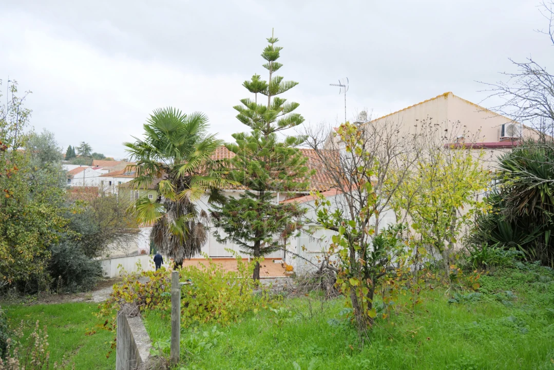 Moradia T2 para Venda em Brogueira, Parceiros de Igreja e Alcorochel Foto 39