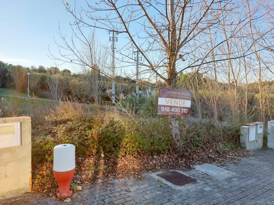 Terreno para Venda em Torres Novas (Santa Maria, Salvador e Santiago) Foto 3