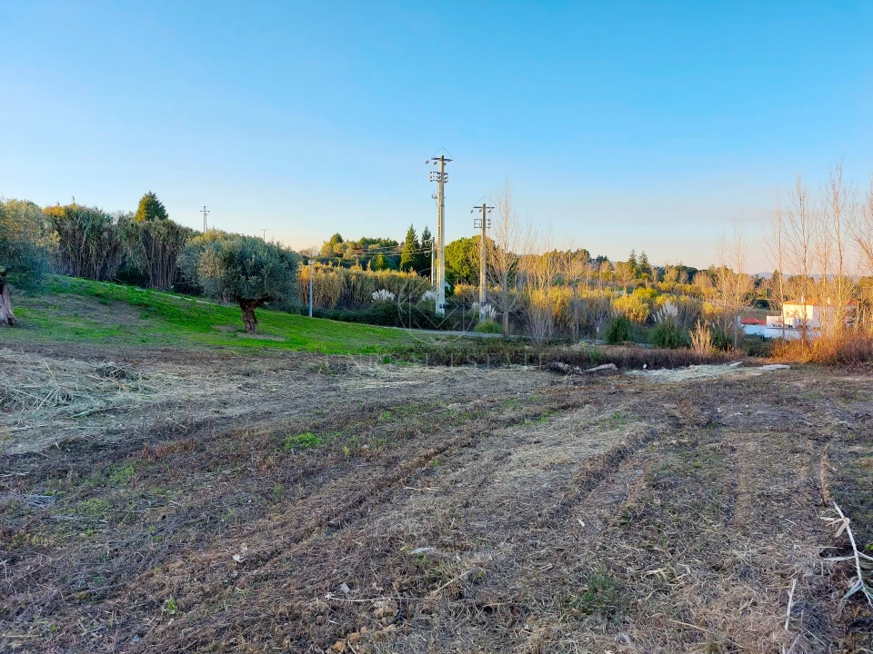 Terreno para Venda em Torres Novas (Santa Maria, Salvador e Santiago) Foto 7
