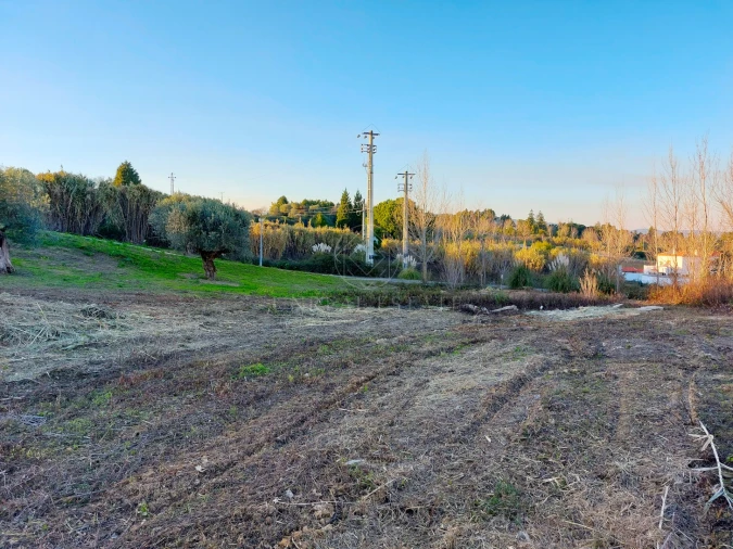 Terreno para Venda em Torres Novas (Santa Maria, Salvador e Santiago) Foto 7