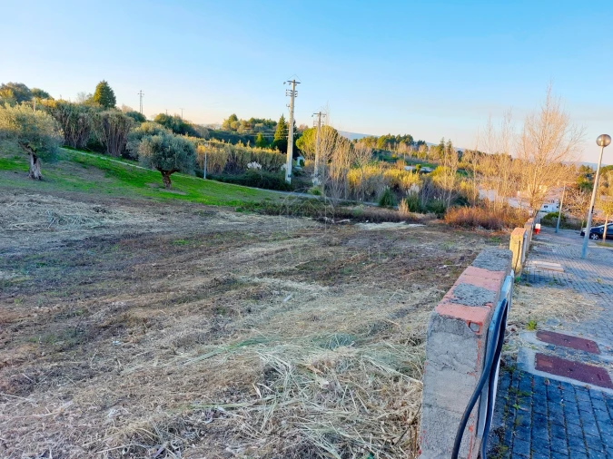 Terreno para Venda em Torres Novas (Santa Maria, Salvador e Santiago) Foto 6