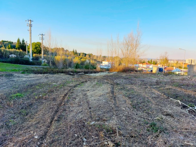 Terreno para Venda em Torres Novas (Santa Maria, Salvador e Santiago) Foto 8
