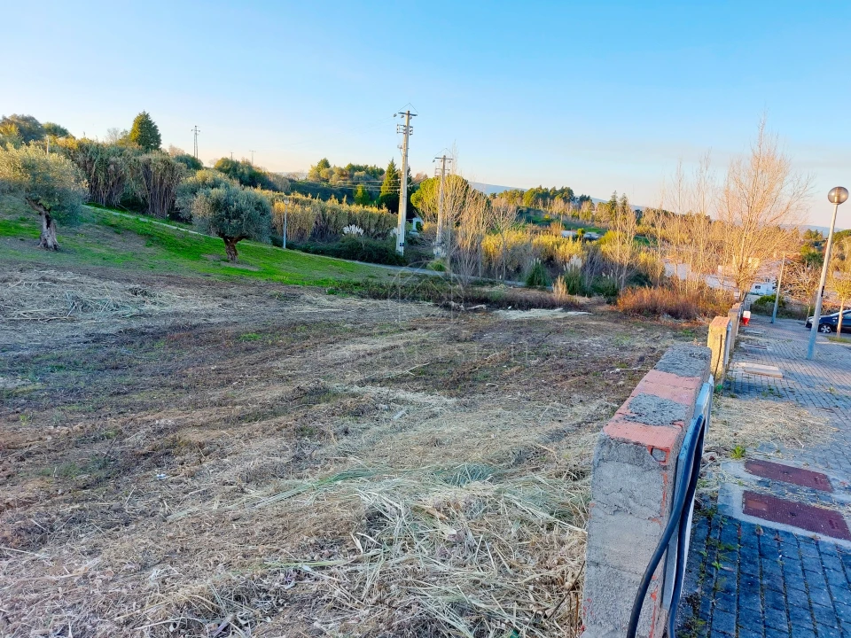 Terreno para Venda em Torres Novas (Santa Maria, Salvador e Santiago) Foto 6