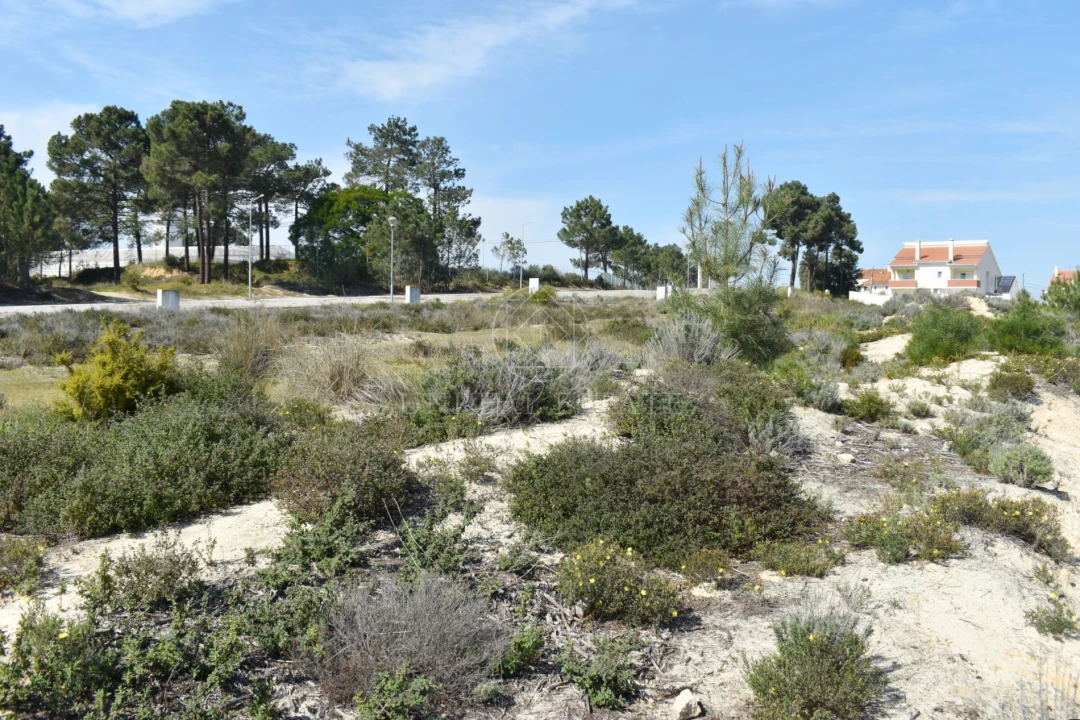 Terreno para Venda em Quinta do Conde Foto 13