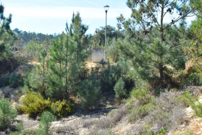 Terreno para Venda em Quinta do Conde