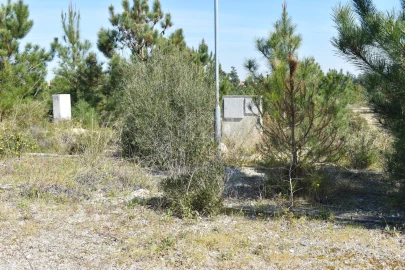 Terreno para Venda em Quinta do Conde