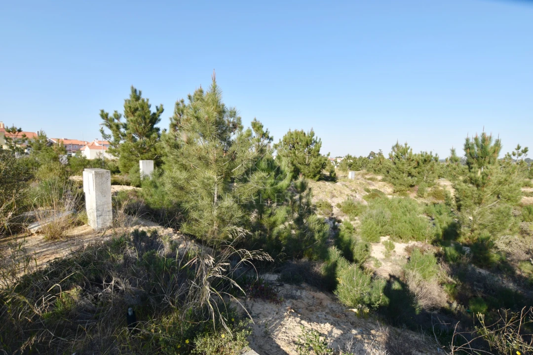 Terreno para Venda em Quinta do Conde Foto 16