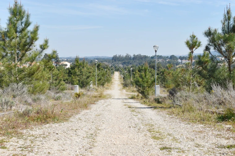 Terreno para Venda em Quinta do Conde Foto 11