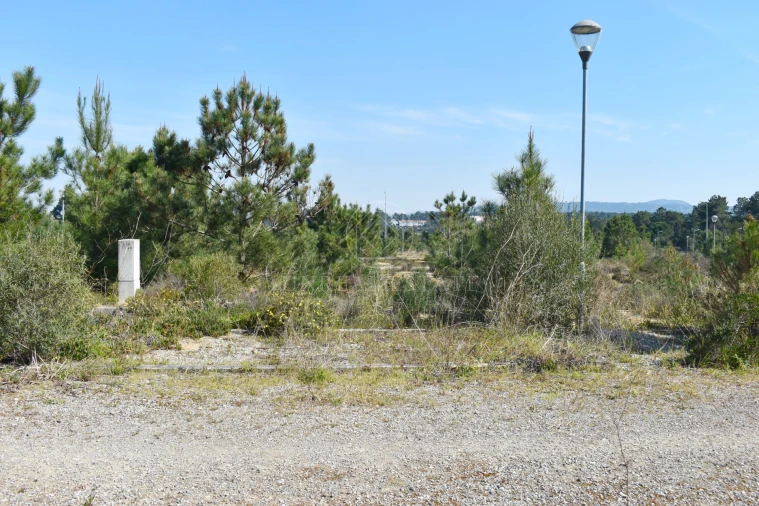 Terreno para Venda em Quinta do Conde Foto 14