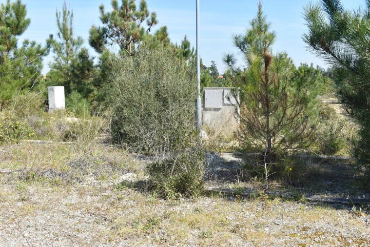 Terreno para Venda em Quinta do Conde Foto 15