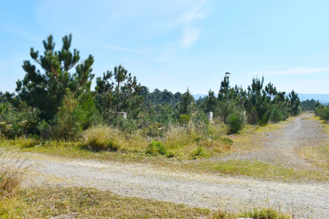 Terreno para Venda em Quinta do Conde Foto 13