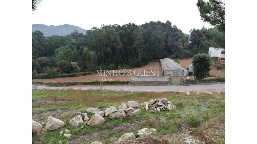 Terreno Misto para Venda em Seixas Foto 9