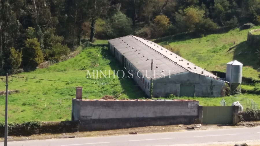 Terreno Misto para Venda em Seixas Foto 2