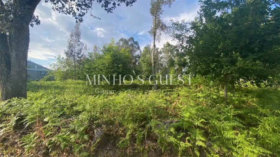 Terreno para Venda em Cervães Foto 5