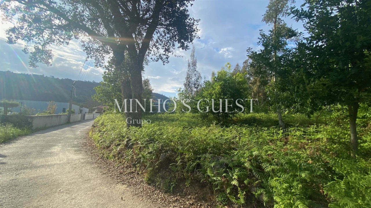 Terreno para Venda em Cervães Foto 4
