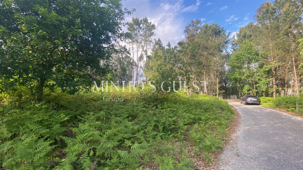 Terreno para Venda em Cervães Foto 1